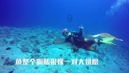 生化危机保护伞小队