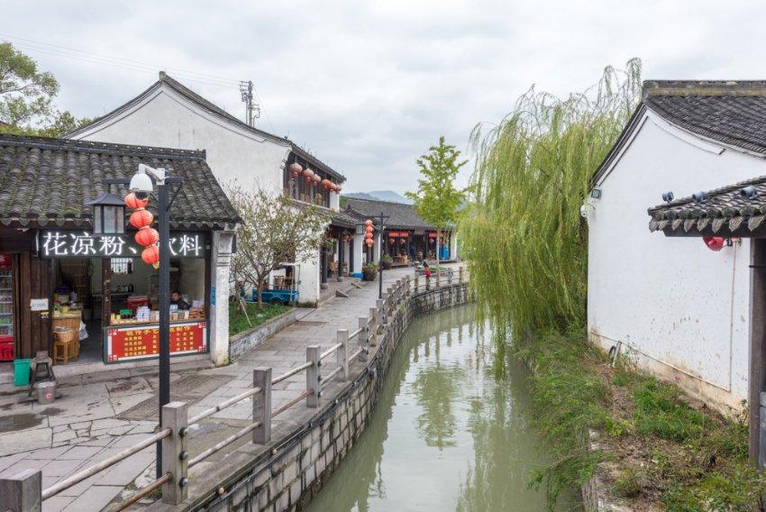 探索大象的耳朵告诉我们什么道理社区,发现更多精彩讨论
